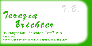 terezia brichter business card